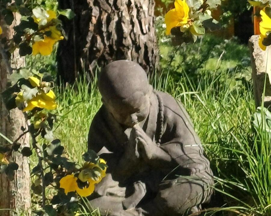 Photo of Others in Esperaza