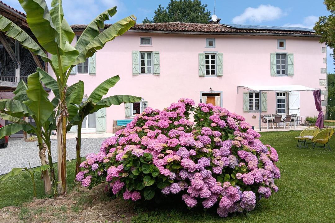 Photo of Others in Montastruc-de-Salies