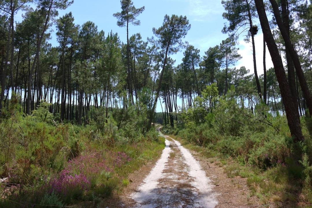 Photo of Others in Casteljaloux