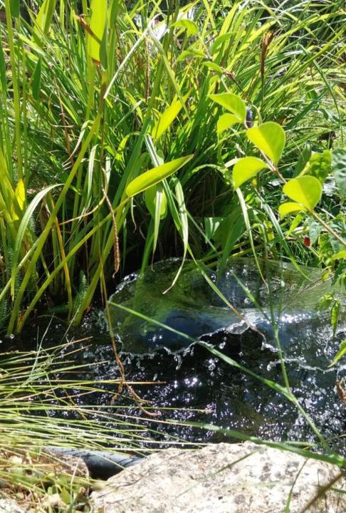 Photo of Outdoor in Marmande