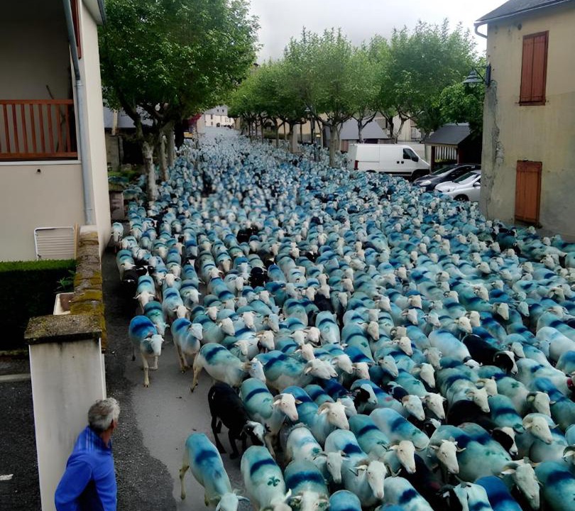 Photo of Others in Bazus-Aure