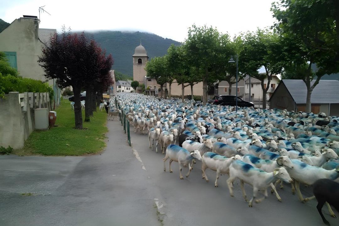 Photo of Others in Bazus-Aure