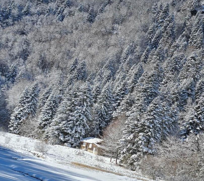Photo of Others in Villeneuve-d'Olmes