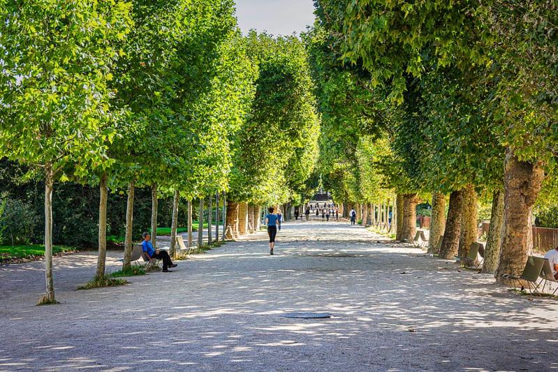 Photo of Others in Jardin des plantes
