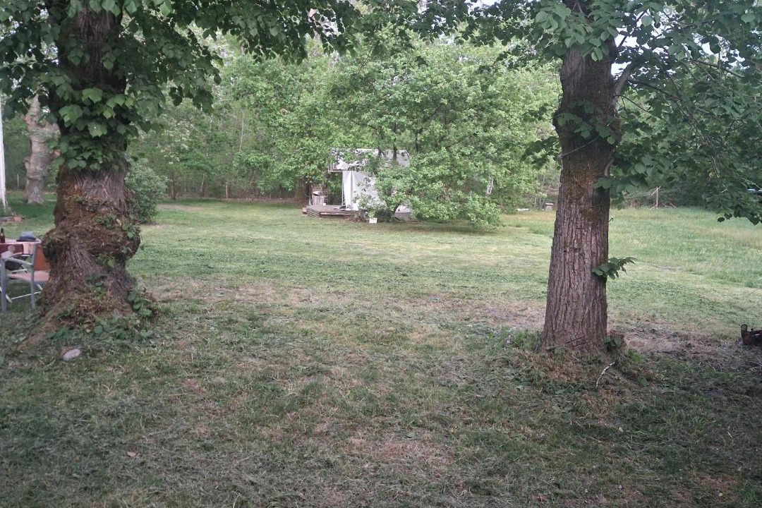 Photo of Others in Moustey