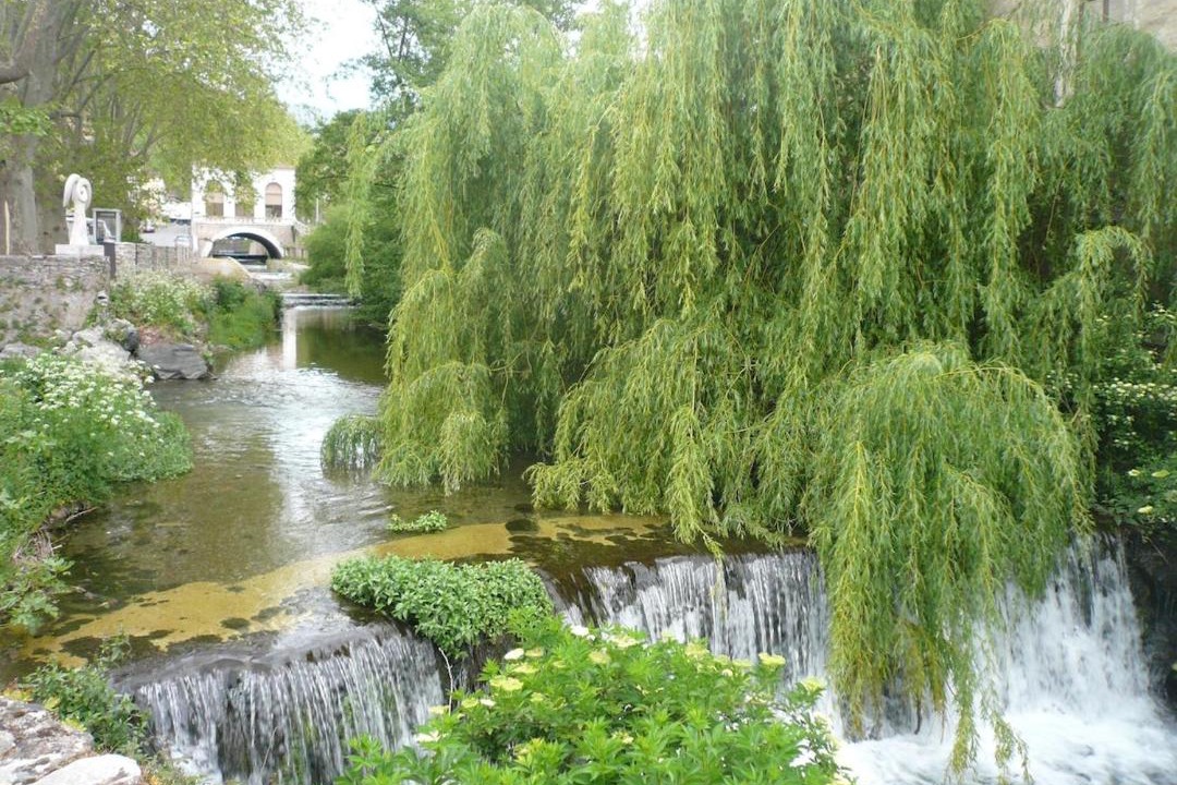 Photo of Others in Saint-Pons-de-Thomieres