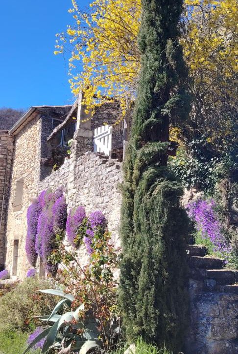 Photo of Others in Montjoux