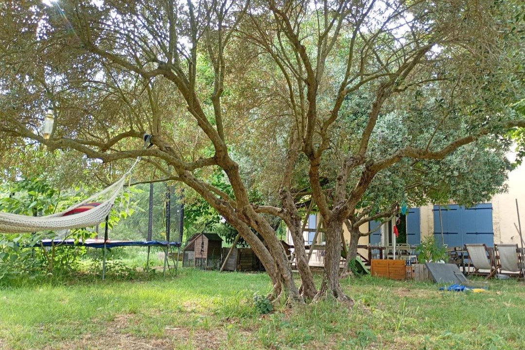Photo of Others in Monteux