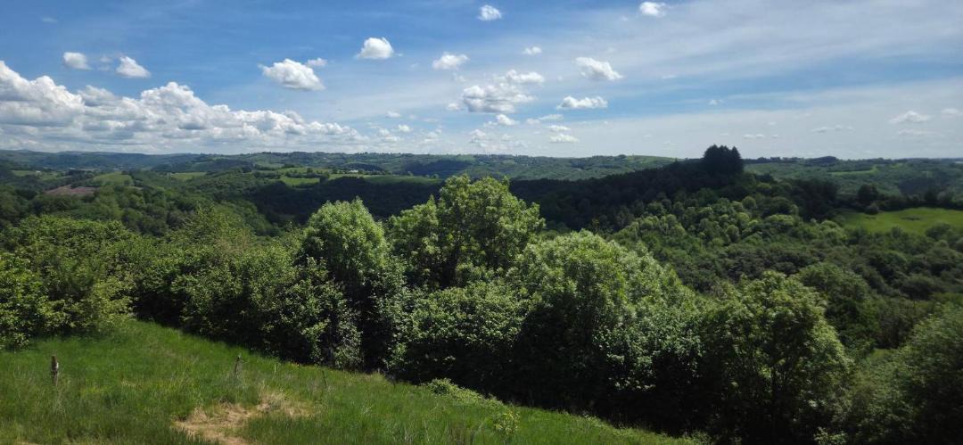 Photo of Others in Besse