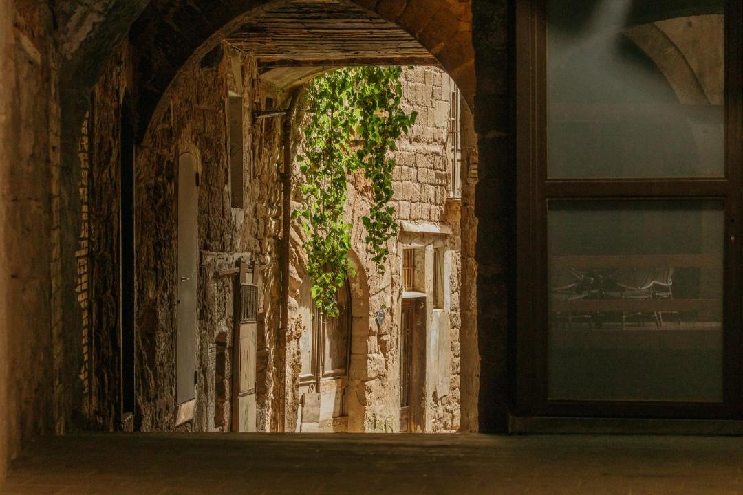 Photo of Others in Cardona
