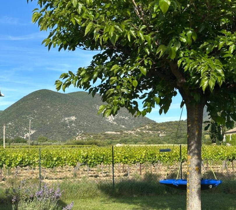 Photo of Others in Saint-Pantaleon-les-Vignes