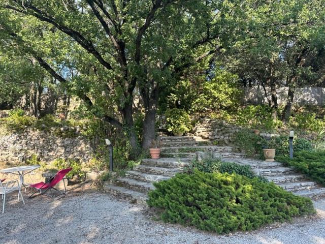Photo of Others in Vaison-la-Romaine