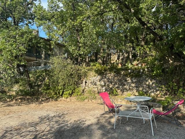 Photo of Others in Vaison-la-Romaine