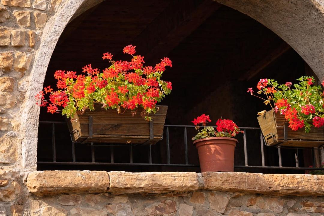 Photo of Others in La Baronia de Rialb