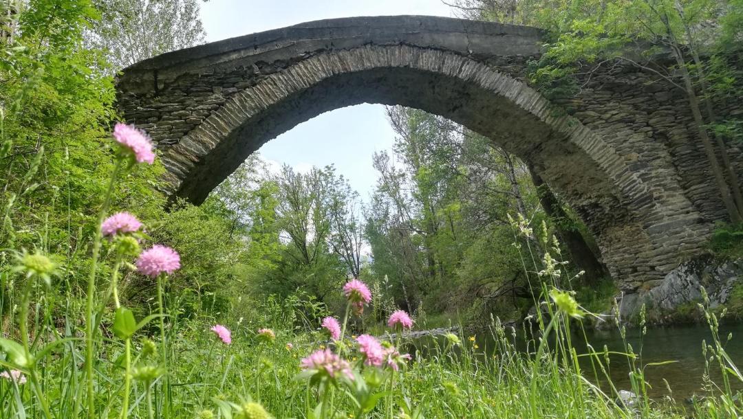 Photo of Others in Llavorsi