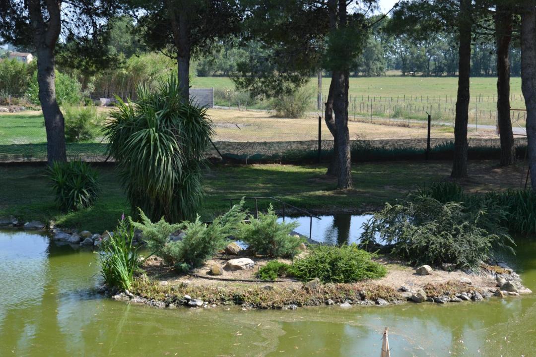 Photo of Outdoor in Le Cailar