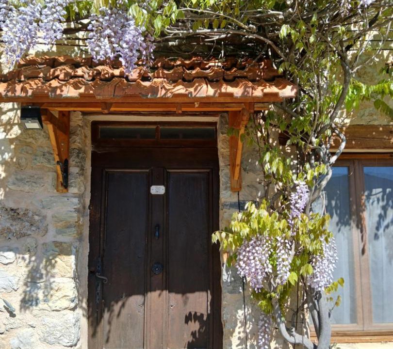 Photo of Others in Castellane