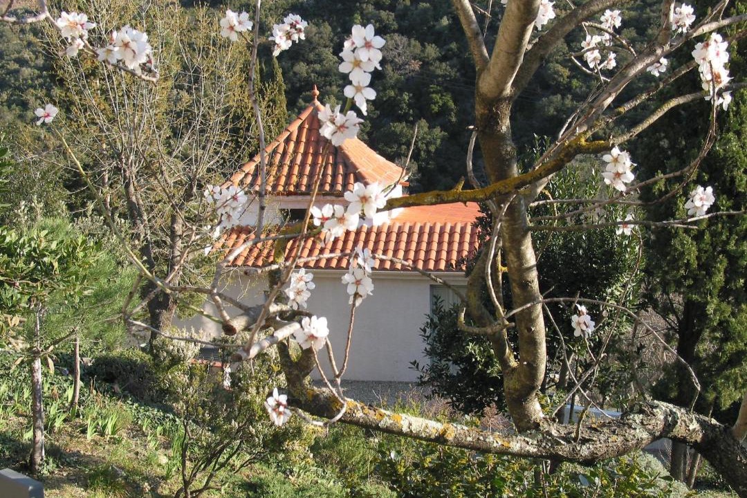 Photo of Others in Le Boulou