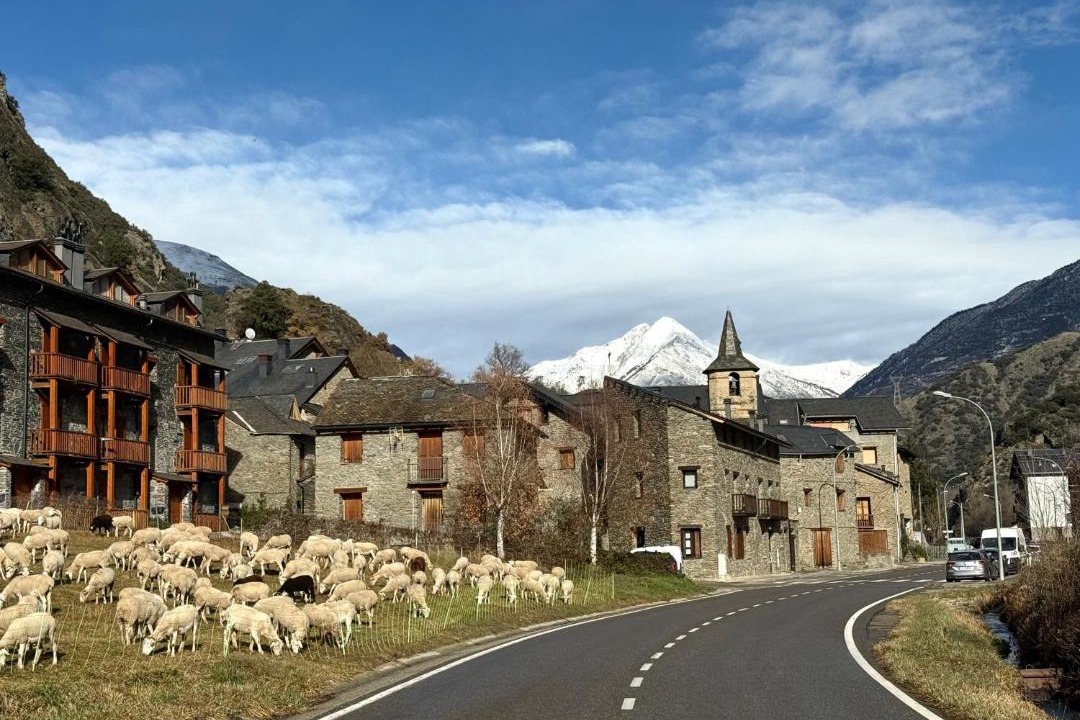 Photo of Others in Vall de Cardos
