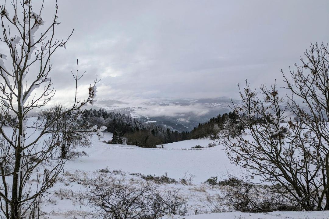 Photo of Others in Saint-Berain