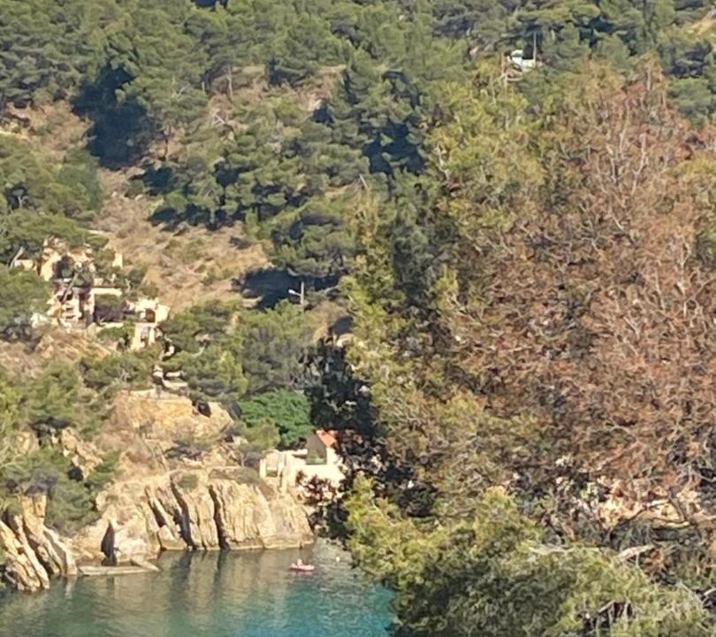 Photo of Others in Ensues-la-Redonne