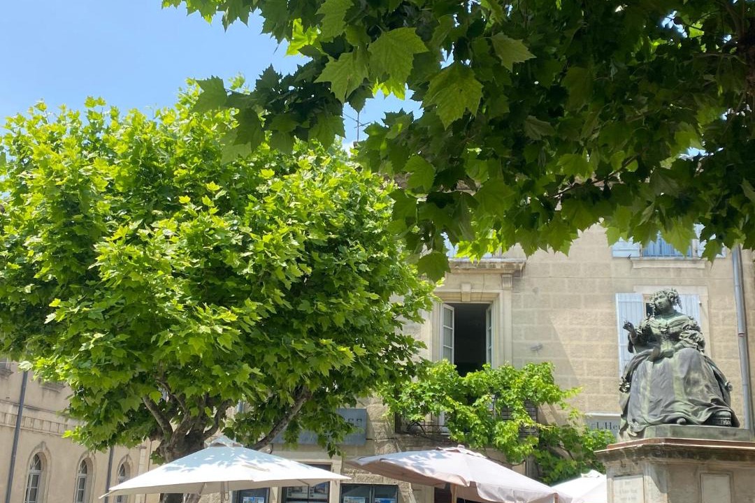 Photo of Others in Grignan