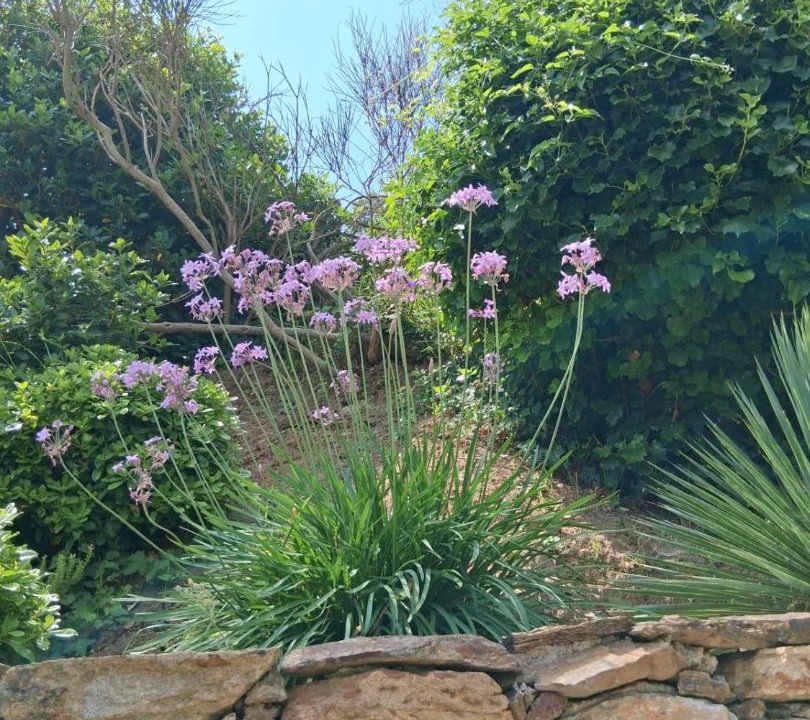 Photo of Others in La Garde-Freinet