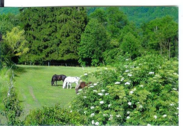 Photo of Others in Saint-Leger