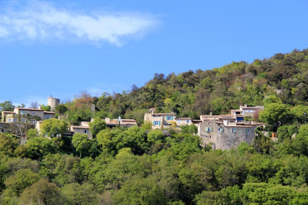 Photo of Others in Montelimar