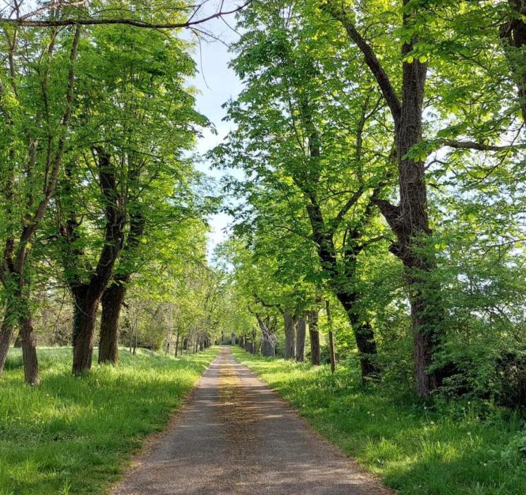 Photo of Others in Puygaillard-de-Quercy