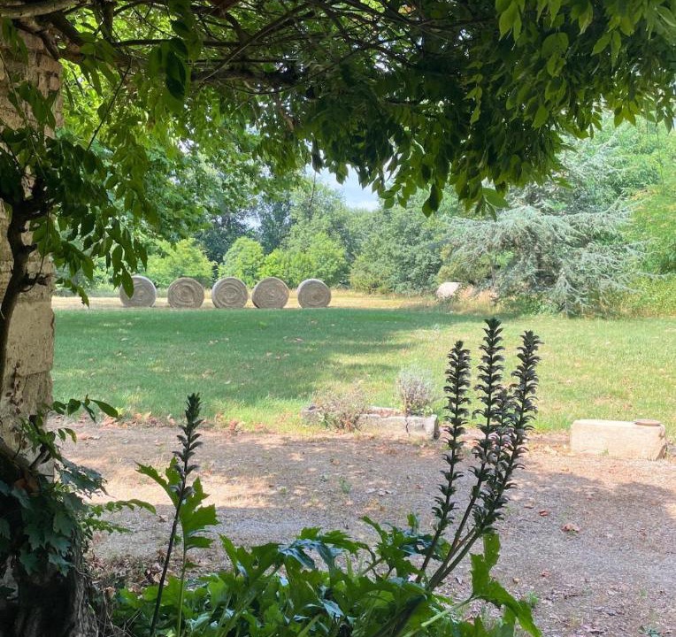 Photo of Others in Puygaillard-de-Quercy