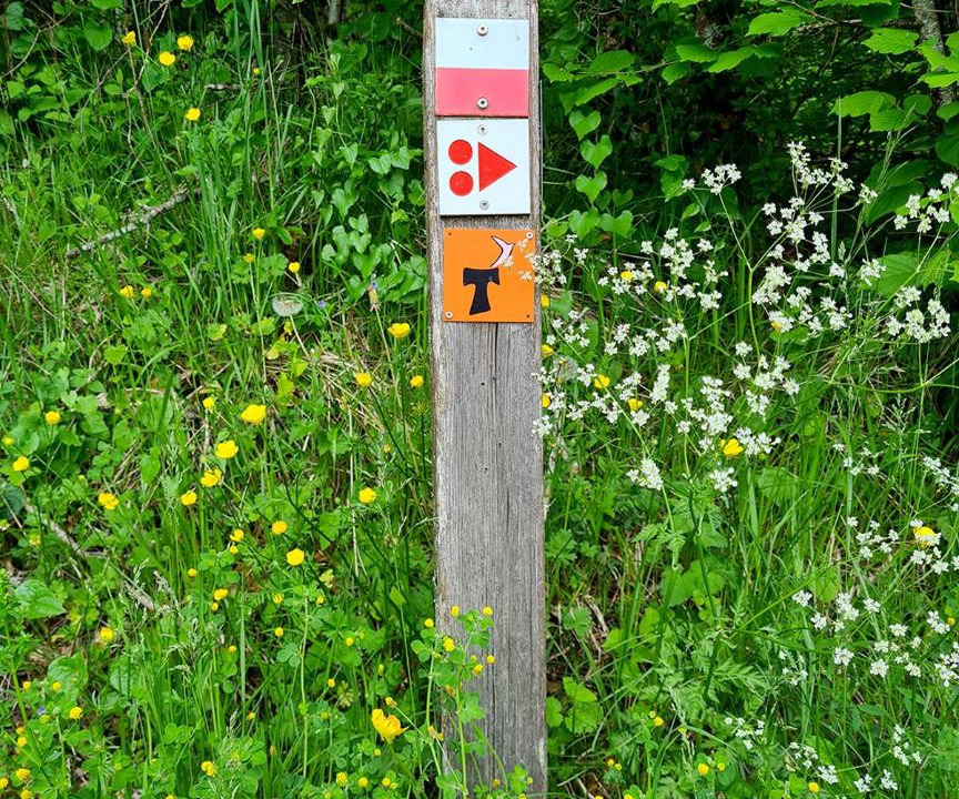 Photo of Others in Saint-Maurice-de-Rotherens