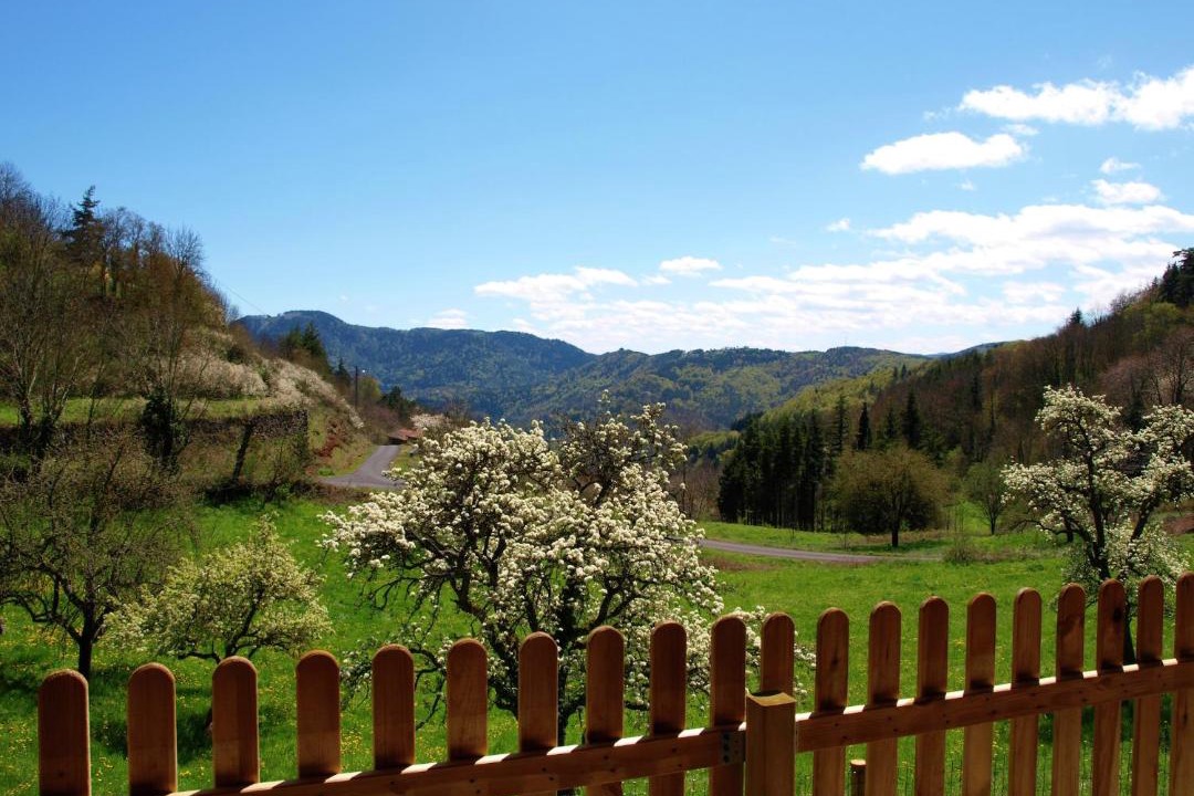Photo of Others in Paulhac-en-Margeride