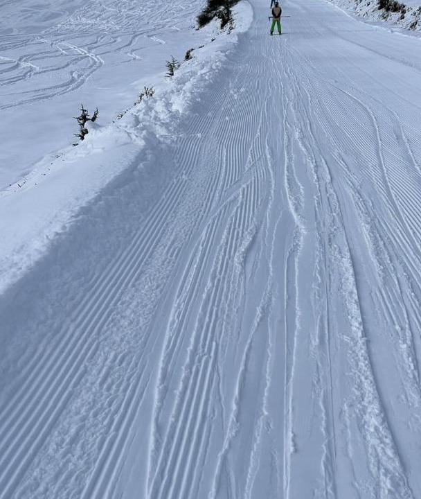 Photo of Others in Guzet Neige