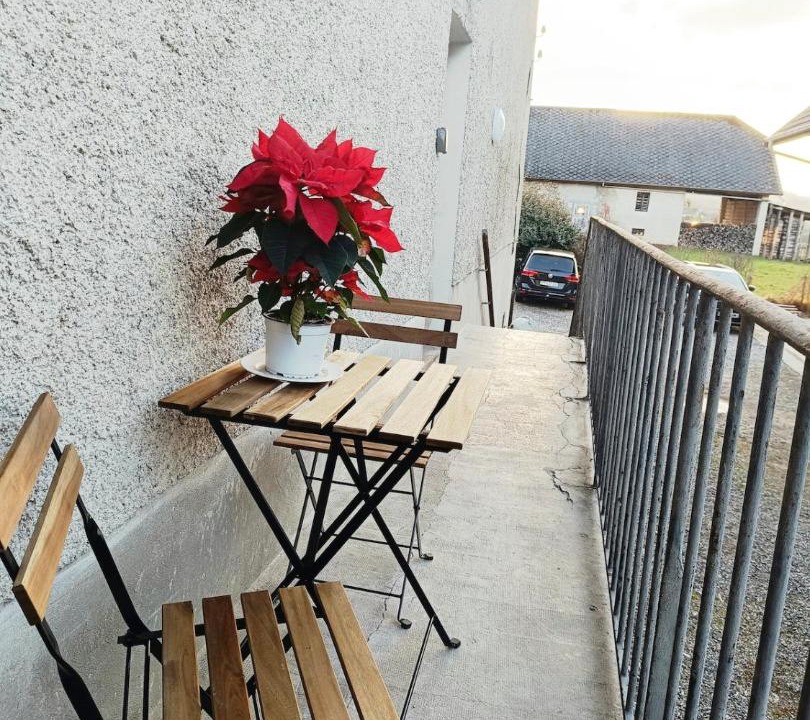 Photo of Patio Balcony in Alby-sur-Cheran