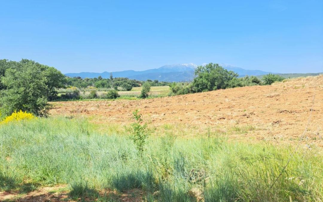 Photo of Others in Thuir