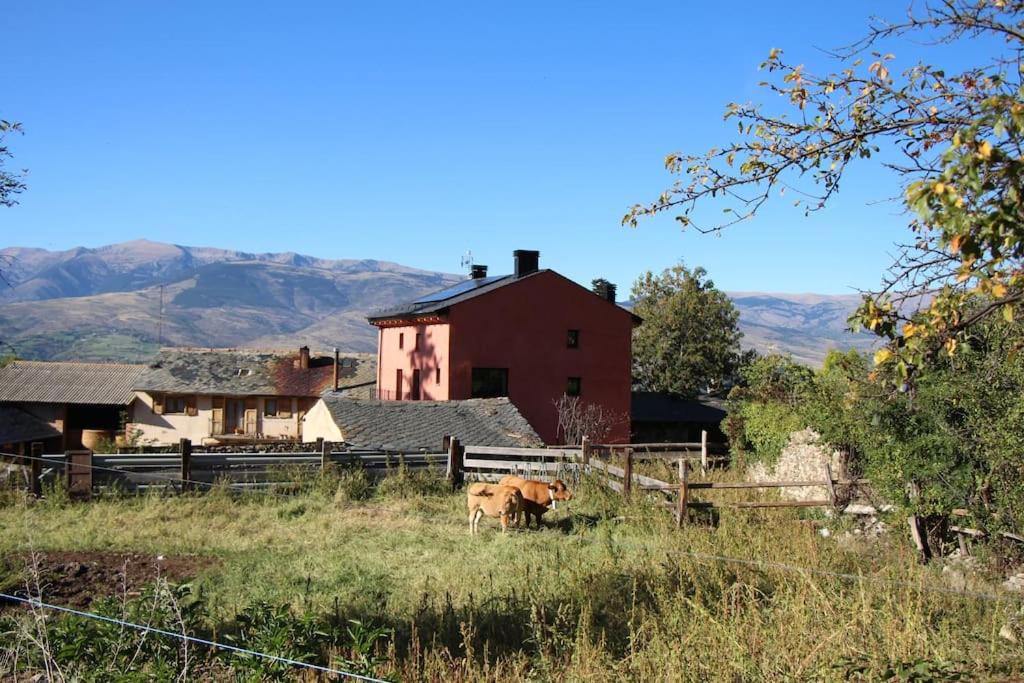 Photo of Buildings in Das