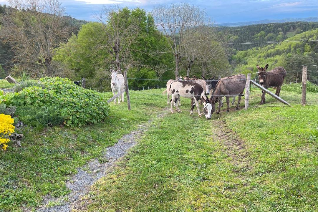 Photo of Others in Saint-Prejet-d'Allier
