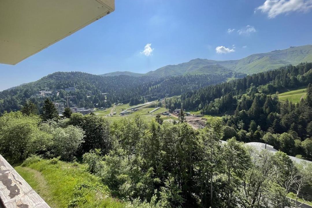 Photo of Others in Laveissiere
