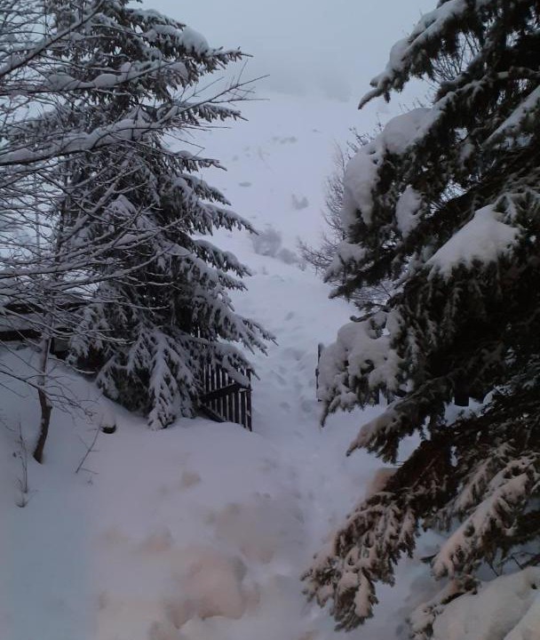 Photo of Others in Orcieres-Merlette