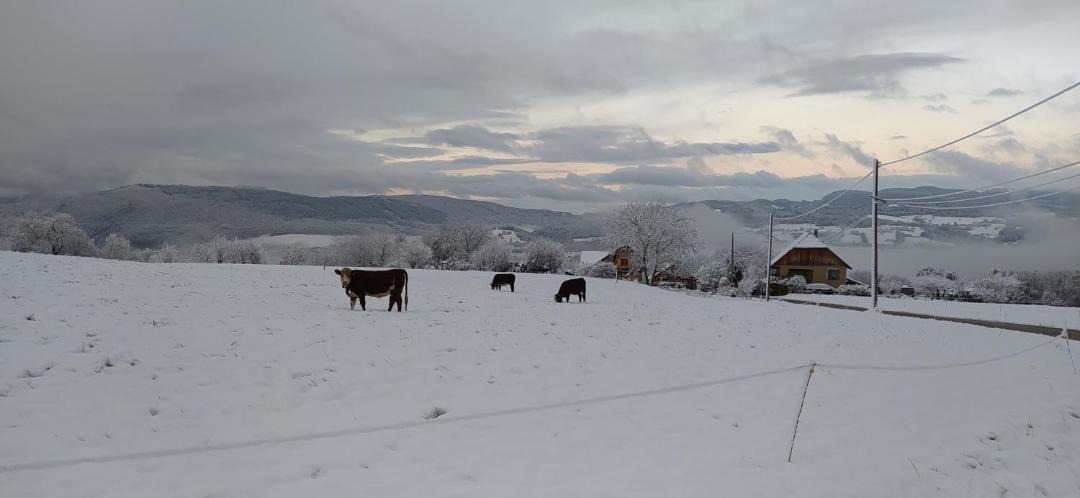Photo of Others in Chainaz-les-Frasses