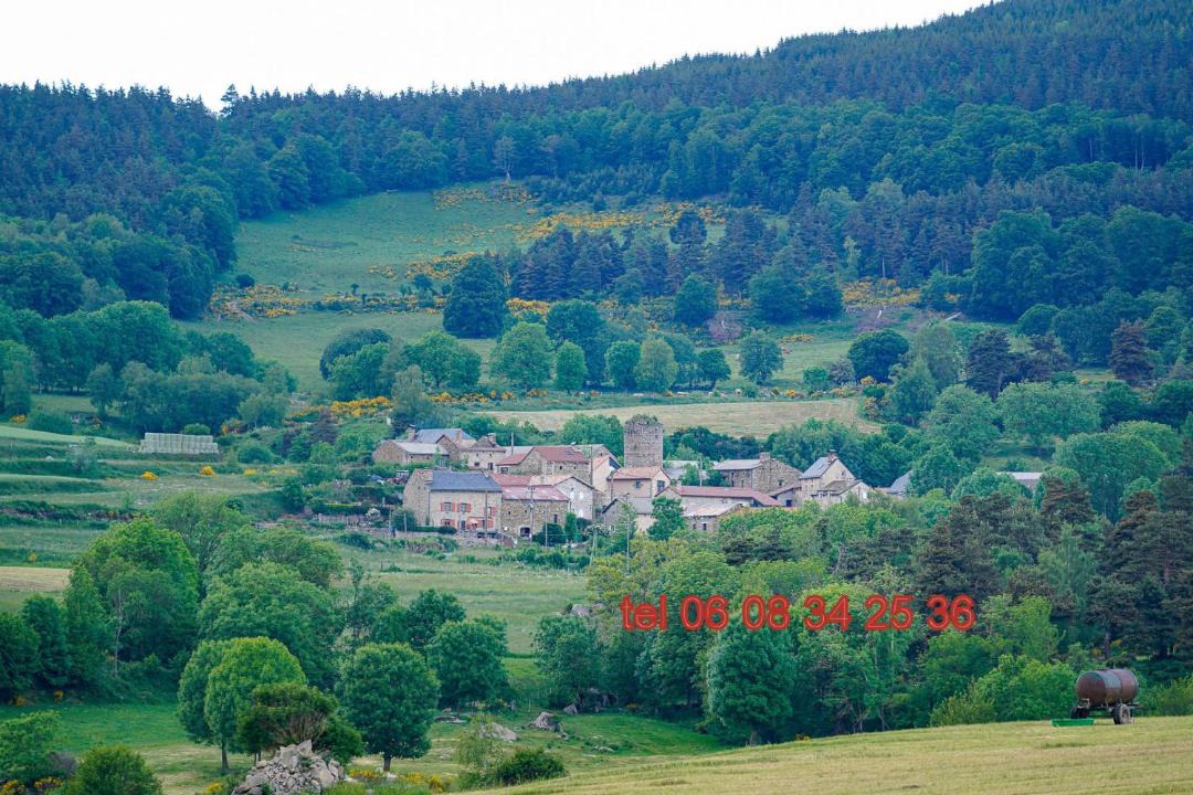 Photo of Others in Le Malzieu-Forain