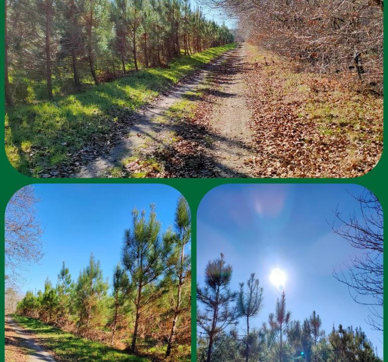 Photo of Outdoor in Saugnacq-et-Muret