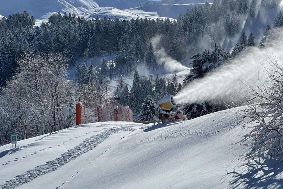 Photo of Others in Laveissiere