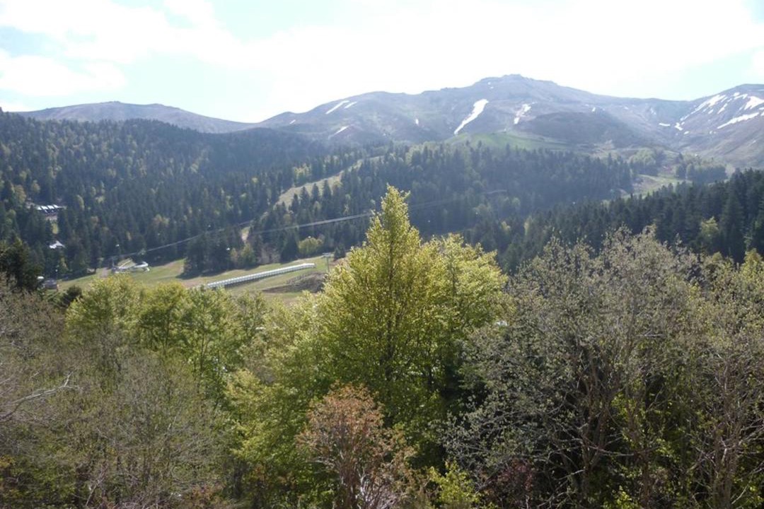 Photo of Others in Laveissiere