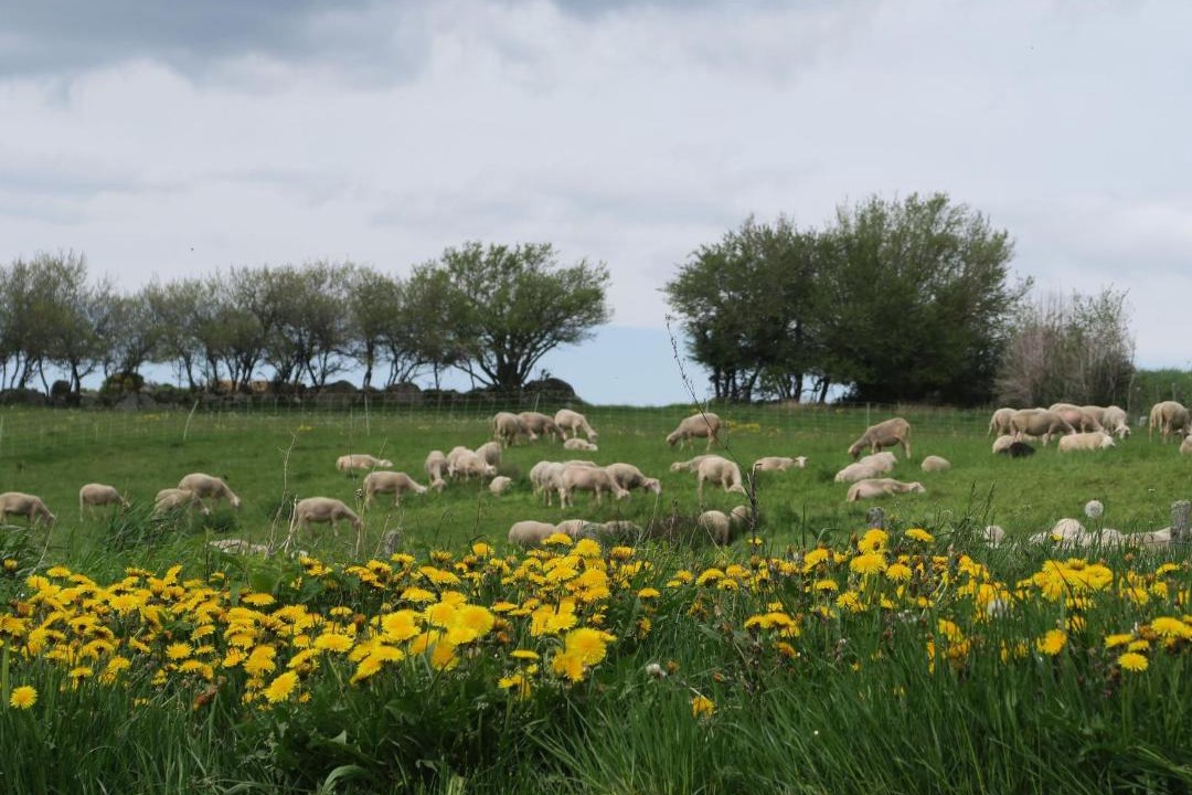 Photo of Others in La Besseyre-Saint-Mary