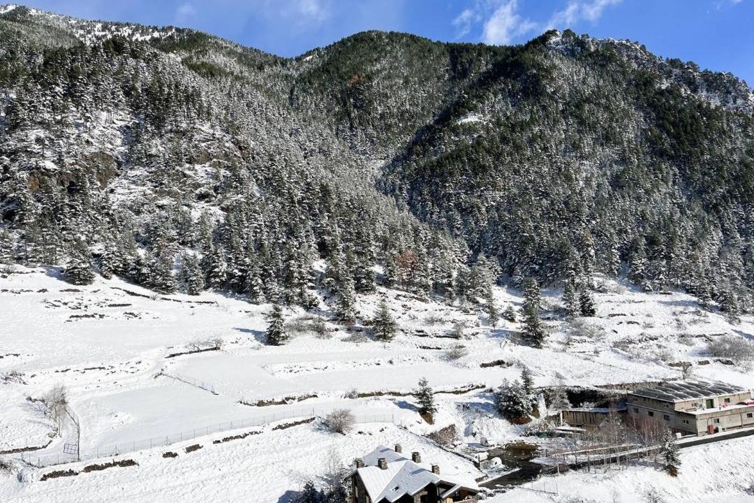 Photo of Others in Arinsal