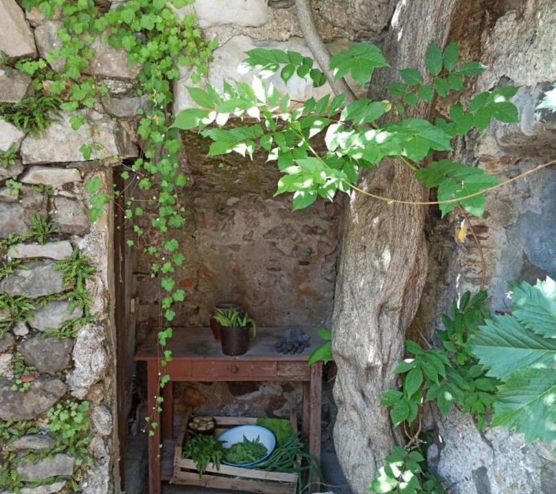 Photo of Others in Mialet