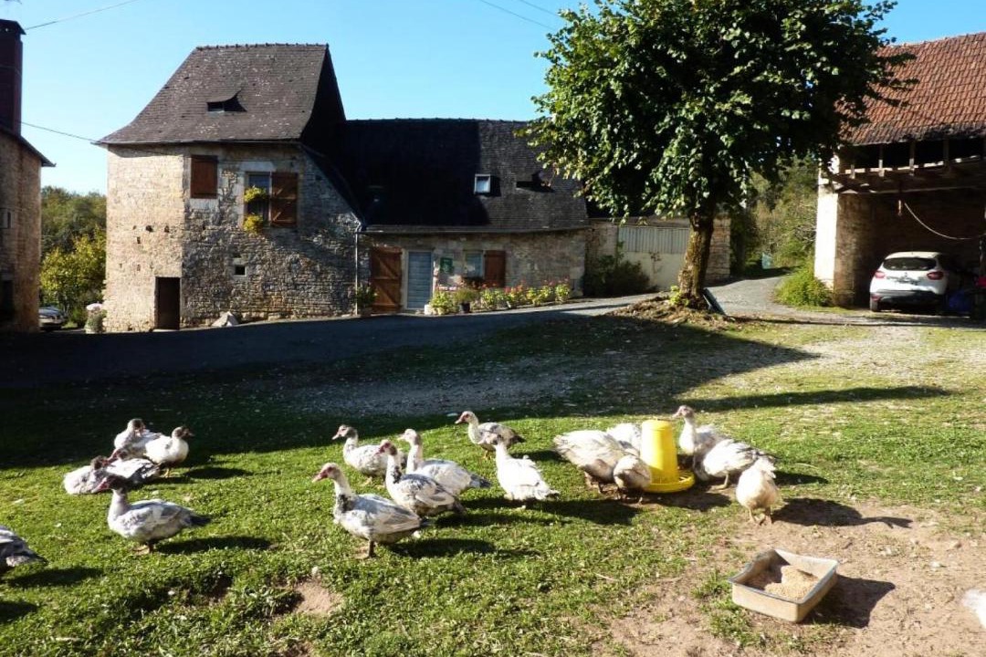 Photo of Others in Turenne