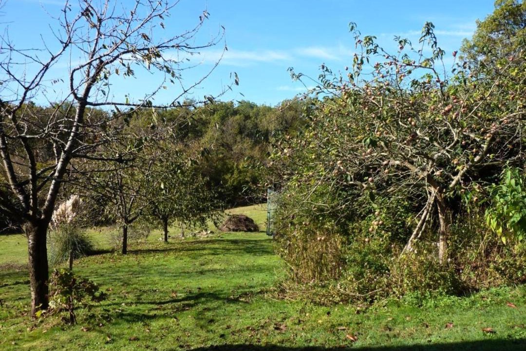 Photo of Others in Turenne